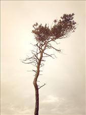 Death - Cold and Lonely.: by jimrigby, Views[323]