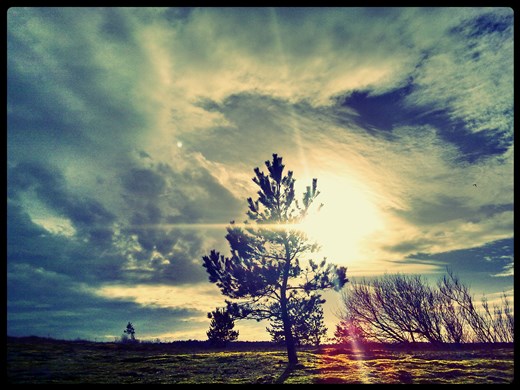 Light - Breath and Air.