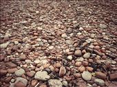 Terrain - Bricks and Waste.: by jimrigby, Views[276]