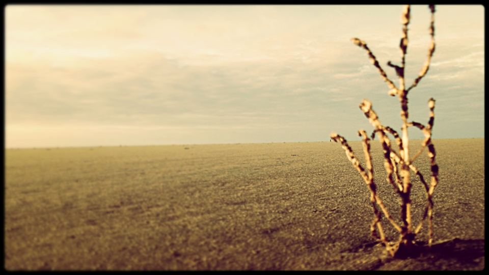 Vast - Withered and Empty.