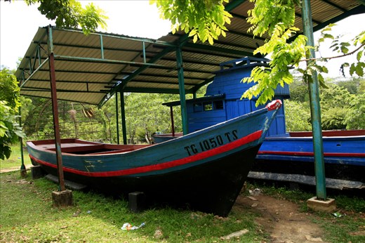 hundreds of people left their country using this kind of  small wooden vessel.
