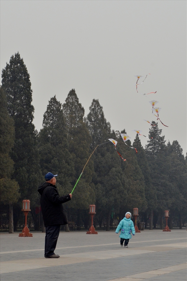 A grandfather flies a kite for his grandson looking on avidly