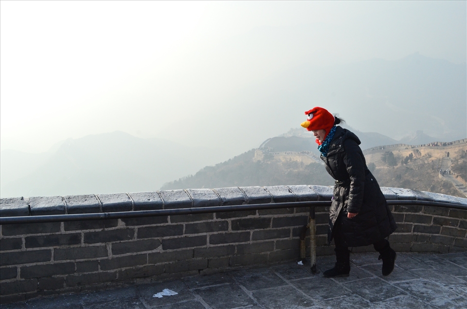  Angry birds on the Great Wall of China