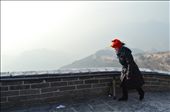  Angry birds on the Great Wall of China: by jiwonkim, Views[340]
