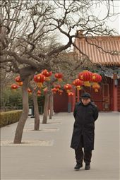 an elderly man walking past lanterns celebrating the start of a new year: by jiwonkim, Views[259]