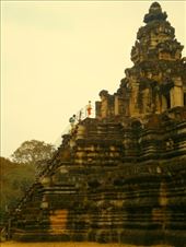 by jj_happyfish, Views[210]