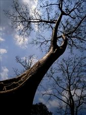 by jj_happyfish, Views[398]