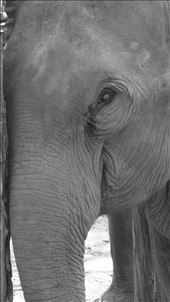 by jlbisset, Views[221]