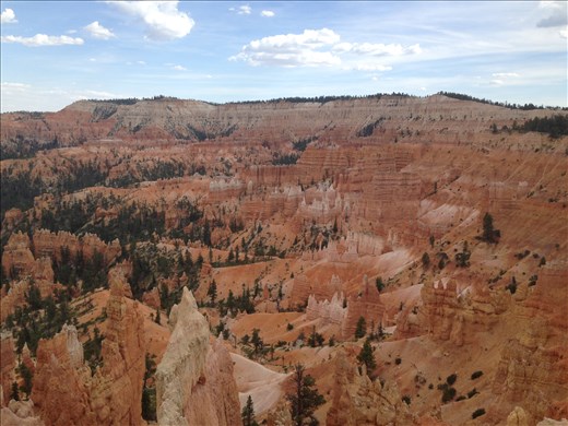 Bryce Canyon Summer 2014