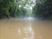 Indian Creek at Red River Gorge Summer 2014: by jlhouk34, Views[313]