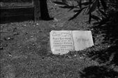 I wondered if she loved to read, was she a poet, a lover of nature or maybe all?: by jlr, Views[411]