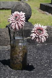 Flowers set on a grave, a spark of life in an otherwise lifeless place.: by jlr, Views[302]