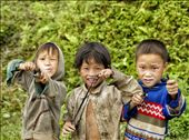 3 boys with catapults while i was out on a solo walk - loved their smiles  : by jlrobinson1, Views[279]