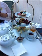 Gryphon Tea Room: by jm212, Views[159]