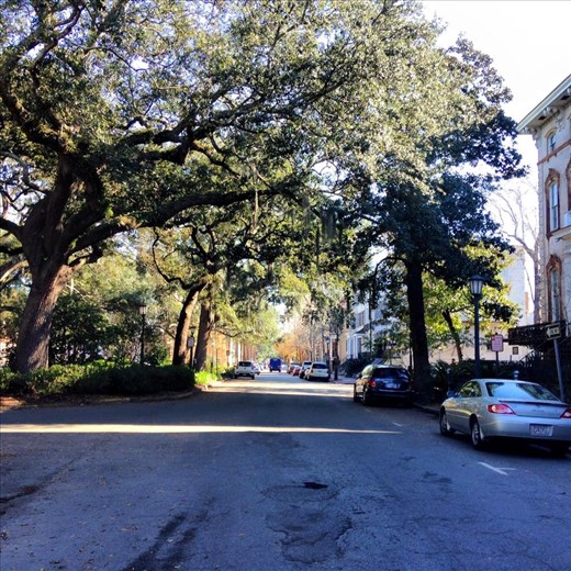 Downtown Savannah 