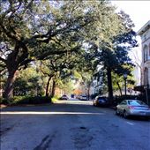 Downtown Savannah : by jm212, Views[134]