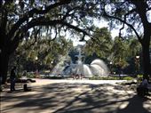Forsyth Park : by jm212, Views[142]