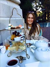 Gryphon Tea Room: by jm212, Views[220]