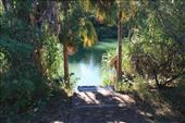 The steps leading down to the water near our camp: by jmandjm, Views[172]