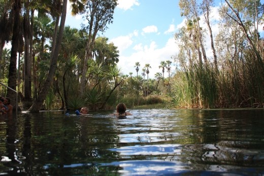Looking down the creek at Bitter Springs