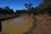 One of the many channels of the Diamantina River in the National Park: by jmandjm, Views[247]