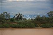 Just some of the massive number of Corellas at the waterhole - their noise was incredible!: by jmandjm, Views[251]