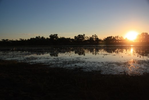Sunrise on Camooweal Lagoon