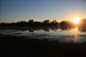 Sunrise on Camooweal Lagoon: by jmandjm, Views[392]