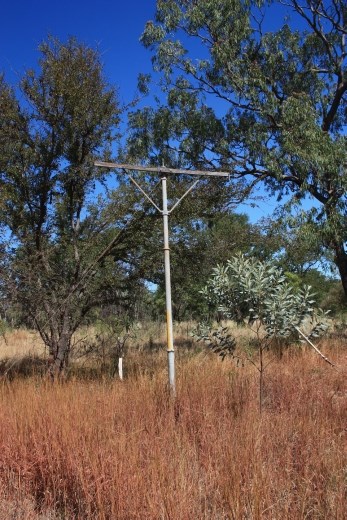 One of the poles from the original overland telegraph line from Adelaide to Darwin