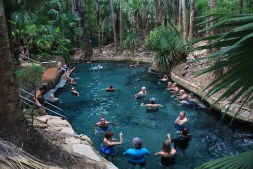 The thermal pool at Mataranka Springs - a different location to Bitter Springs