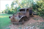 An old Chev at the entrance to our campground at Daly River - a restoration project?: by jmandjm, Views[232]