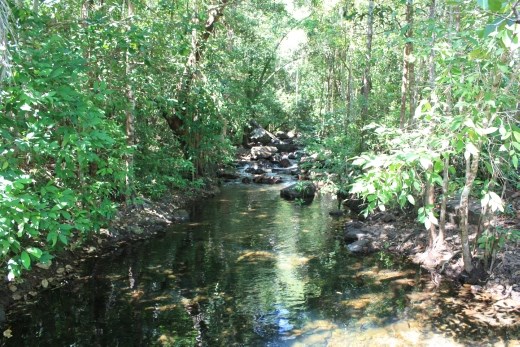 Florence Creek at the base of the falls