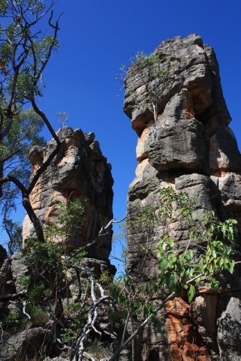 Yet more of the interesting formations in the Lost City