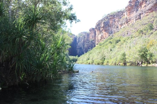 one of the pools in Jim Jim Creek with the falls in the background