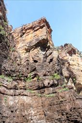 Part of the spectacular escarpment in the large amphitheatre at the falls: by jmandjm, Views[185]
