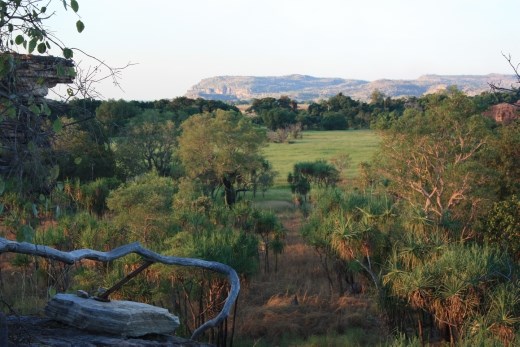 View looking north over the wetlands from Ubirr Rock in North East Kakadu