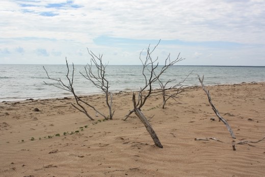 A view along the beach near Kuper Point