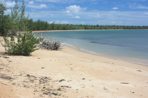 The coast line near Stewart Point