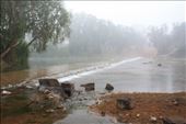 Old crossing on the Roper River at Roper Bar, the early morning mist gave it a surreal look: by jmandjm, Views[1094]