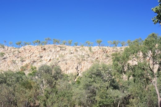 The almost white escarpment of the Costello Ranges at Butterfly Springs contrasted against the deep blue sky