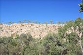 The almost white escarpment of the Costello Ranges at Butterfly Springs contrasted against the deep blue sky: by jmandjm, Views[136]