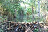 The hot spring at the homestead campsite at Lorella: by jmandjm, Views[201]
