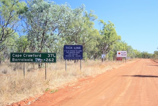 A multitude of signs at the QLD/NT border