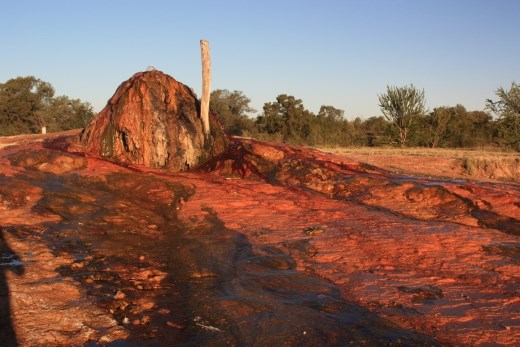 The 130 year old hot bore at Burketown - the water temperature is about 67 degrees!
