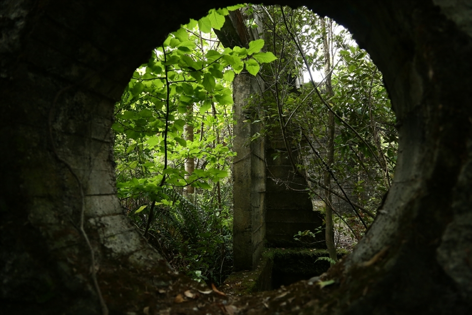 Abandoned concrete and stone house near Ranco lake, south of Chile.