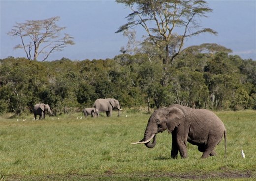 Wandering is fine, but there will always be those to return to