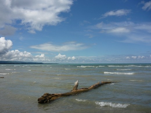 'Remain in me, and I will remain in you. For a branch cannot produce fruit if it is severed from the vine, and you cannot be fruitful unless you remain in me.
- John 15:4'
A branch lies soaking in the water on a sunny day.