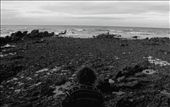 This image, is of a place in Burnie, Tasmania called Blythe Rocks. The rocks on the rough beach translate to me the very terrain of Tasmania itself. By Juxtaposing my friend in the Image Iam attempting to establish a relationship with people and the ocean.: by jmsprague, Views[562]