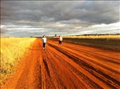 how to survive a storm! You RUN! Taken at Parkes NSW: by jnrvmqc, Views[222]