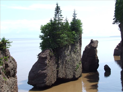New-Brunswick, Canada, Called the hopwell rocks, about 30 feet higher at lowtide